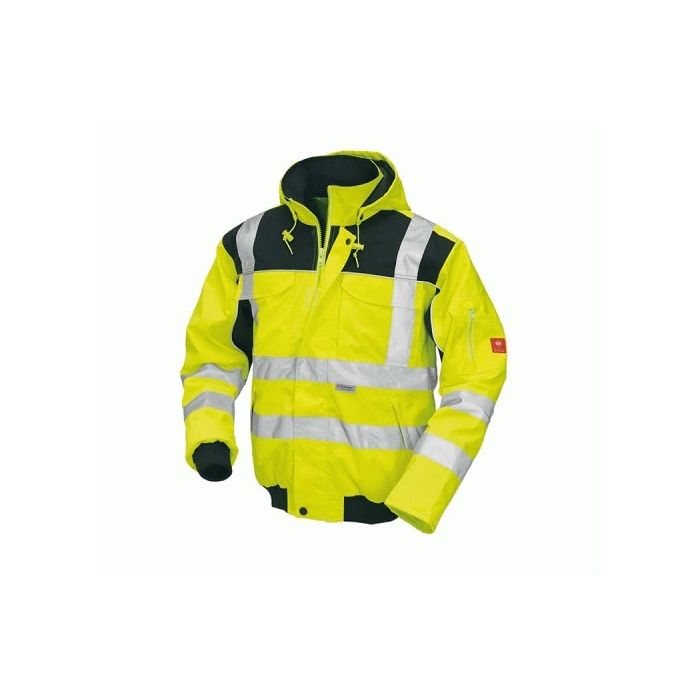 Veiligheids-pilotjack Image