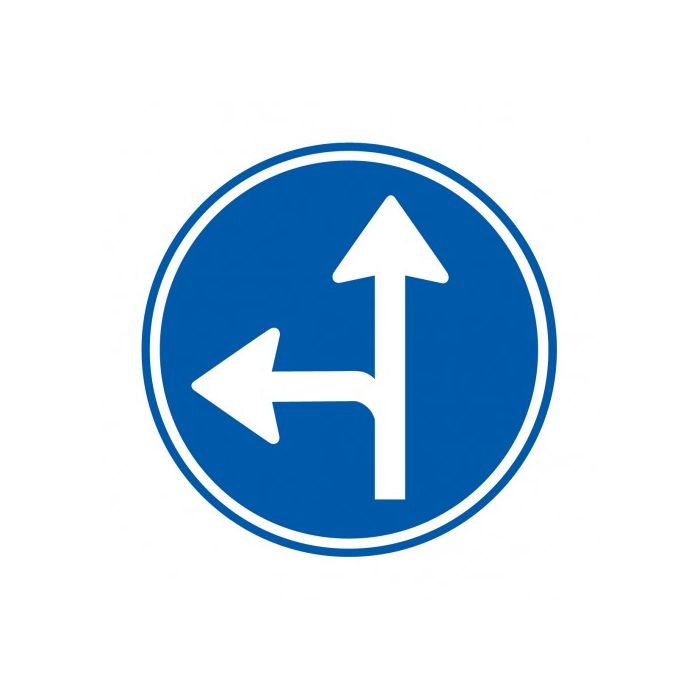 Verkeersbord D06L