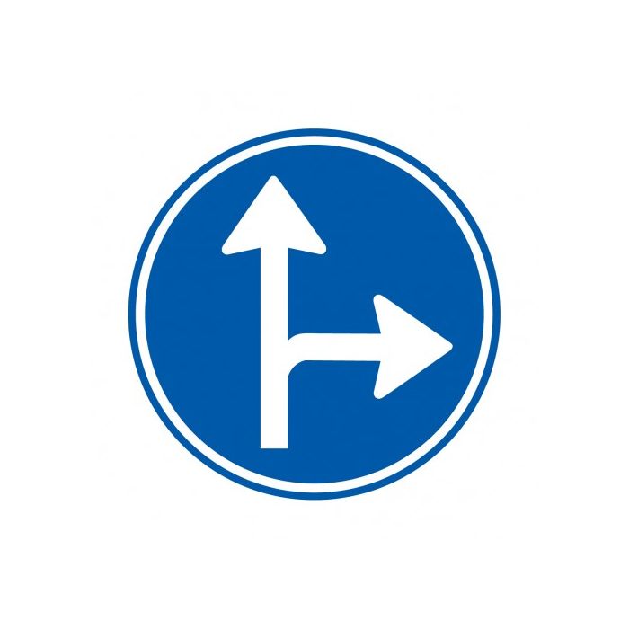 Verkeersbord D06R