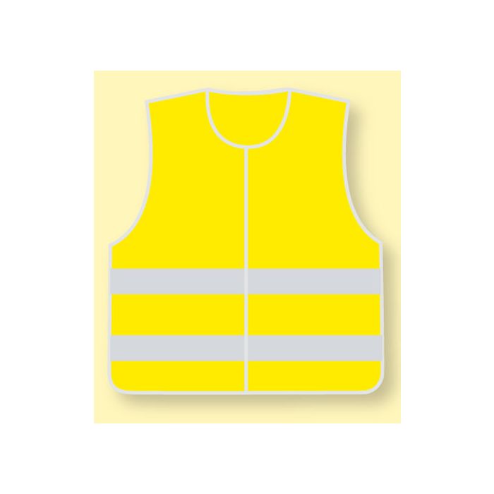 Kinder veiligheidshesje