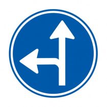 Verkeersbord D06L