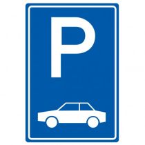 Verkeersbord E08, Parkeergelegenheid alleen bestemd voor auto's