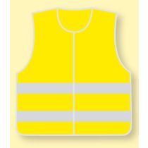 Kinder veiligheidshesje